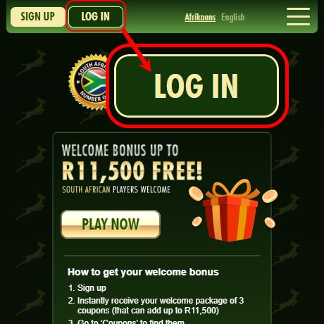 Springbok Casino Login HP button